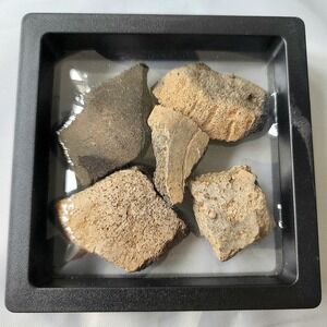 Ancient Pre Colombian Pottery Shards Historical Artifacts Collection Detailed‎